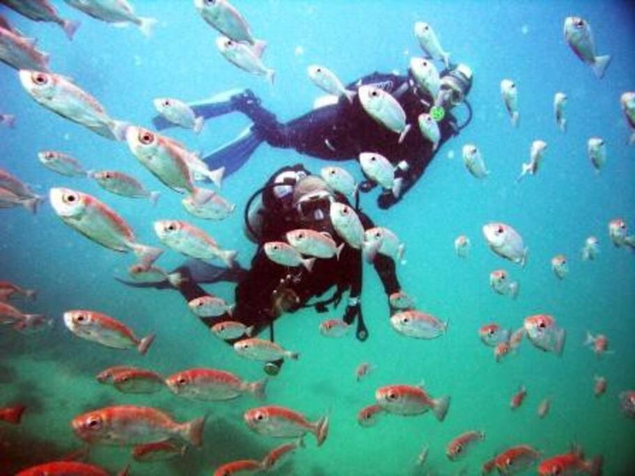 Ferienwohnung Caribe Brasileiro A 2 Passos Da Areia Arraial do Cabo Exterior foto
